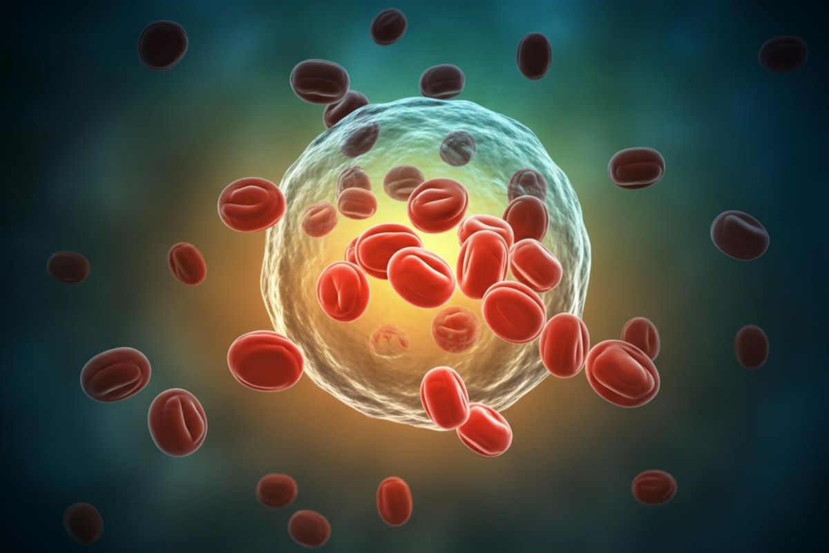 9363_1_colesterolo-alimentazione-salute.it