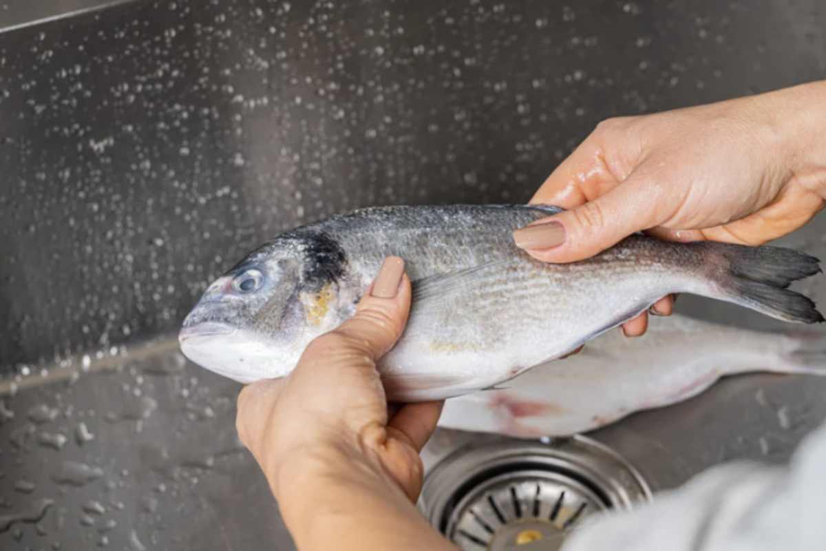 Il Ministero della Salute, guidato dall’attuale ministro Orazio Schillaci, ha recentemente ribadito l’importanza di seguire precise