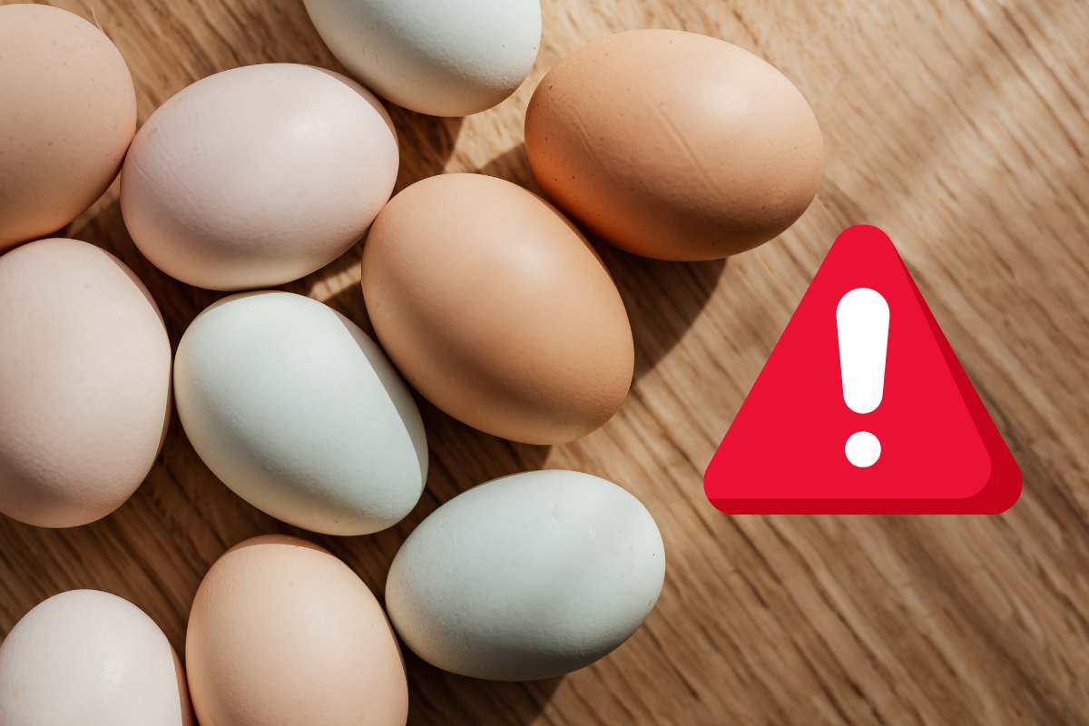 Dicembre 2025, pioggia di bonus e aumenti ma non per tutti