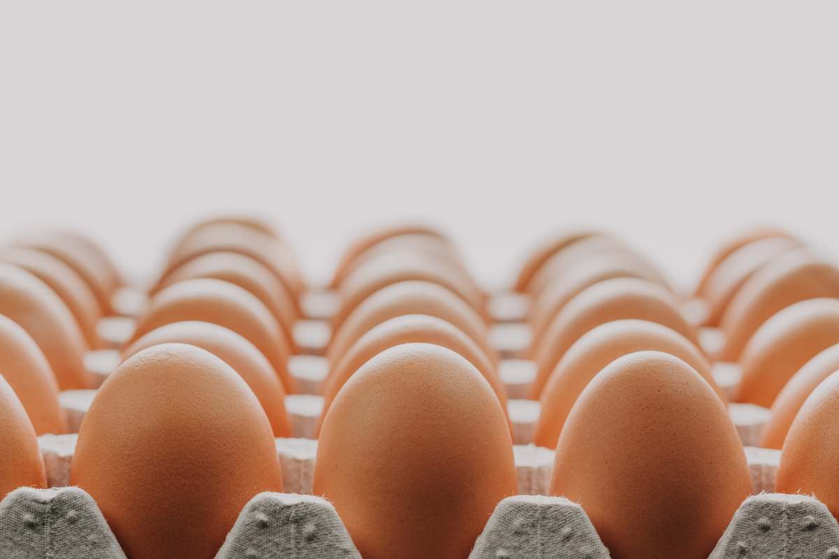 Dicembre 2025, pioggia di bonus e aumenti ma non per tutti